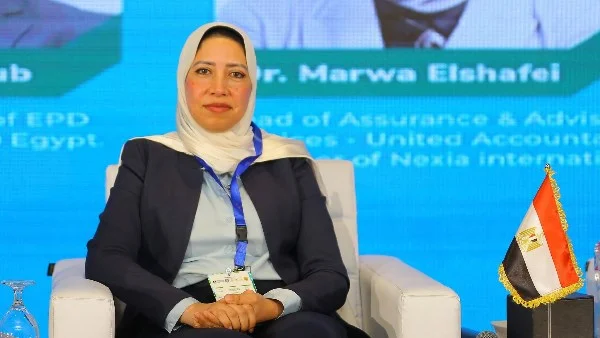 أسباب تثبيت سعر الفائدة من قبل البنك المركزي المصري