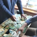 ضبط صاحب مخبز في الإسماعيلية بحوزته 250 بطاقة تموينية
