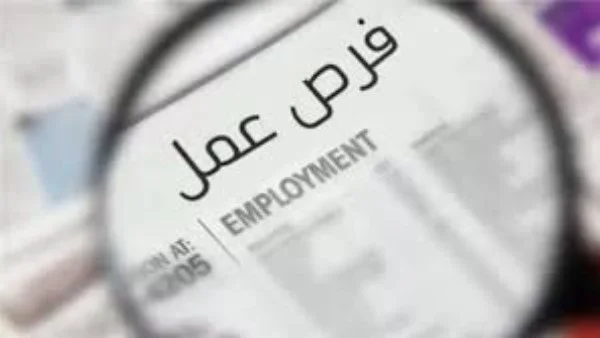 فرص عمل جديدة للشباب وذوي الهمم في 24 شركة