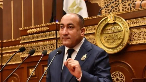 العلمين الجديدة: نموذج حي للجمهورية الجديدة