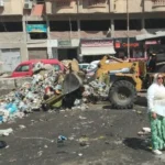 جهود مكثفة لمواجهة النباشين والفريزة في الإسكندرية