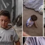 محمد سعيد: صمود طفل فلسطين أمام قسوة الحرب