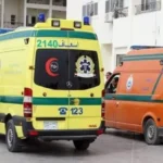 انقلاب ميكروباص في المنيا يتسبب بإصابة 14 شخصاً