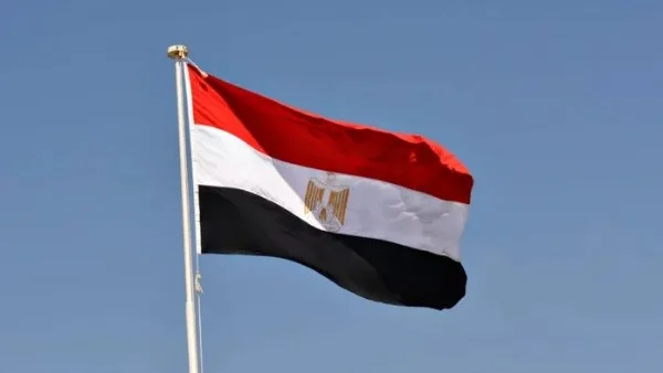 مصر تدعم بناء القدرات الأفريقية عبر برامج تدريبية متخصصة