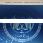 خطوات الاستعلام عن القضايا إلكترونيًا