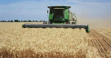 نمو قطاع التأمين في دول وسط أفريقيا