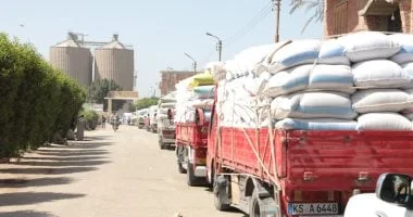 سلالات جديدة من القمح لمواجهة الأمراض وضمان الإنتاج