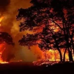 حريق في تايلاند يودي بحياة 27 شخصًا
