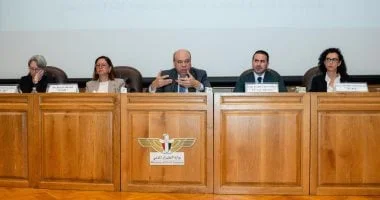 ورشة عمل حول وقود الطيران المستدام في مصر