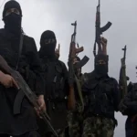 محاكمة 7 متهمين بخلية المطرية الإرهابية