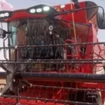 تدشين مبادرة الحصاد الذهبي لدعم مزارعي القمح