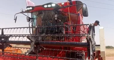 تدشين مبادرة الحصاد الذهبي لدعم مزارعي القمح