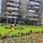 أهمية الحفاظ على المسطحات الخضراء في بورسعيد