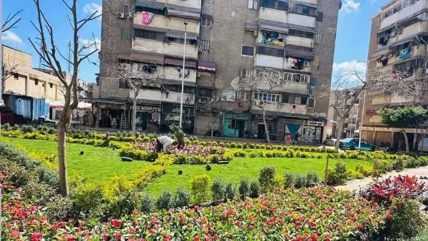 أهمية الحفاظ على المسطحات الخضراء في بورسعيد