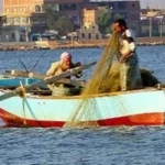 اختصاصات جهاز حماية وتنمية البحيرات والثروة السمكية