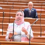 الملحق التفسيري يعزز مكانة مصر في جامعة الدول العربية