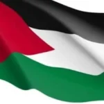 مصر تدعم الإغاثة الطبية في غزة خلال الأزمات الإنسانية