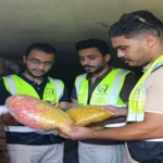 ضبط نصف طن سناكس مجهولة المصدر بالغربية