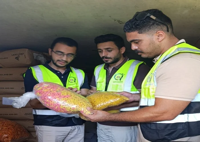 ضبط نصف طن سناكس مجهولة المصدر بالغربية