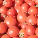 أسعار الخضراوات في مصر اليوم: ورق العنب يقترب من 100 جنيه