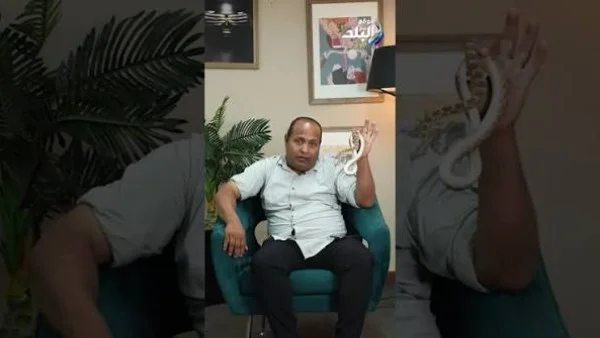 توعية الأطفال لمواجهة خطر الثعابين