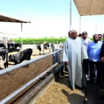 رئيس الوزراء يتفقد مزرعة “العمار” ويؤكد أولوية الأمن الغذائي