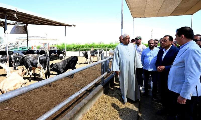 رئيس الوزراء يتفقد مزرعة "العمار" ويؤكد أولوية الأمن الغذائي