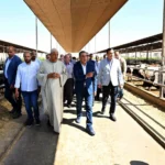 طلاب جامعة مصر للمعلوماتية يبتكرون منصة توظيف ذكية