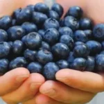 نصائح لنوم هادئ وفواكه مفيدة لمرضى السكري