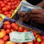 استقرار التضخم في نيجيريا عند 15.91%
