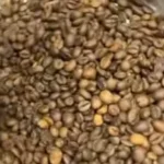 شعبة البن تنفي غش القهوة في مصر وتؤكد جودتها