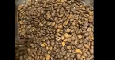 شعبة البن تنفي غش القهوة في مصر وتؤكد جودتها