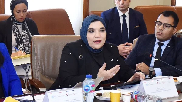 أهمية تسوية المنازعات في تحسين بيئة الاستثمار بمصر