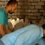 ضبط 6.290 طن دقيق مدعم وهياكل دواجن في الشرقية