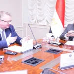 تنظيم العمالة المنزلية في مصر خطوة نحو حماية الحقوق