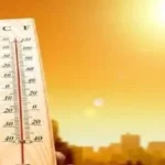 طقس شديد الحرارة خلال ذروة الصيف