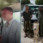 ضبط ميكروباص استخدم في نقل ماشية بالبحيرة