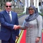 تعاون مصري تنزاني: مقترح لإنشاء خط ملاحي جديد