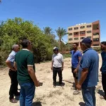 استثمار الخبرات المصرية في أفريقيا
