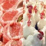 استقرار أسعار اللحوم والدواجن تُباع بخسارة