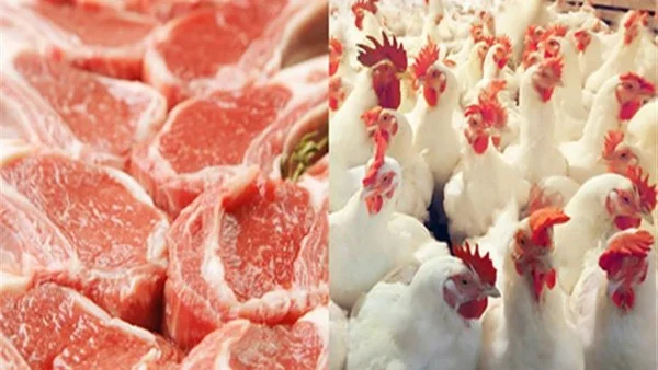 استقرار أسعار اللحوم والدواجن تُباع بخسارة