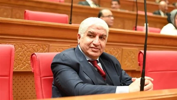 إدارة حيوانات الشارع تتطلب تعاونًا علميًا