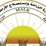 “الزراعة”: رد على فيديو زيادة وزن الموز يثير البلبلة