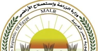 "الزراعة": رد على فيديو زيادة وزن الموز يثير البلبلة