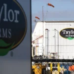 توسيع استدعاء منتجات الخس من Taylor Farms بسبب خطر السيكلوسبورا