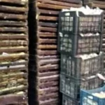 ضبط 12 ألف عبوة حلوى أطفال مجهولة المصدر في القليوبية