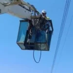 حملات متنوعة في كفر الشيخ لصيانة الإنارة وزراعة الأشجار