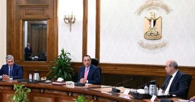 التأشيرة الإلكترونية تعزز السياحة المصرية أغسطس المقبل