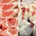 حملات ضبط للتحقق من سلامة الغذاء في عدة محافظات