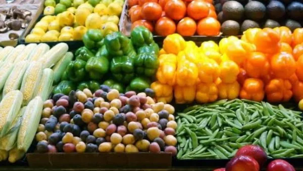 صادرات مصر الزراعية تحقق مستويات تاريخية